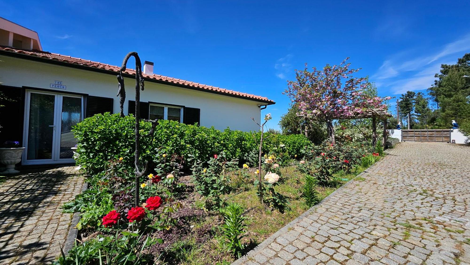 Coja Mountain Perch Villa Vinho  Eksteriør bilde